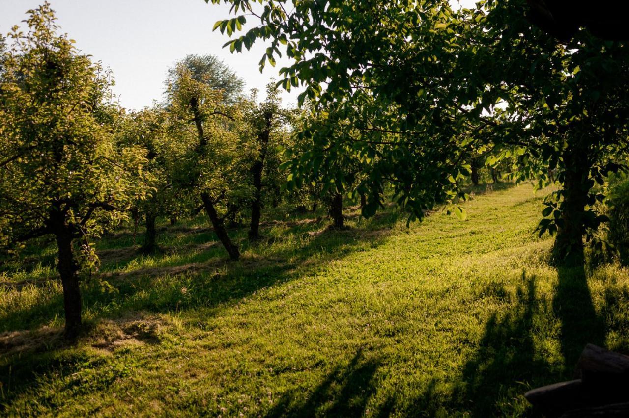 Bed and Breakfast Tourist Farm Firbas Cerkvenjak Exteriér fotografie