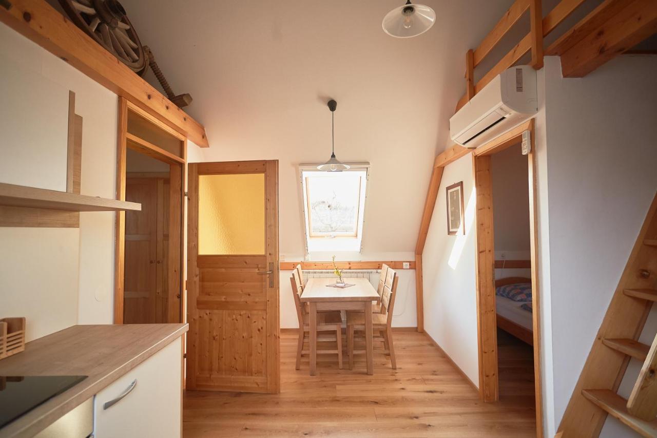 Bed and Breakfast Tourist Farm Firbas Cerkvenjak Exteriér fotografie