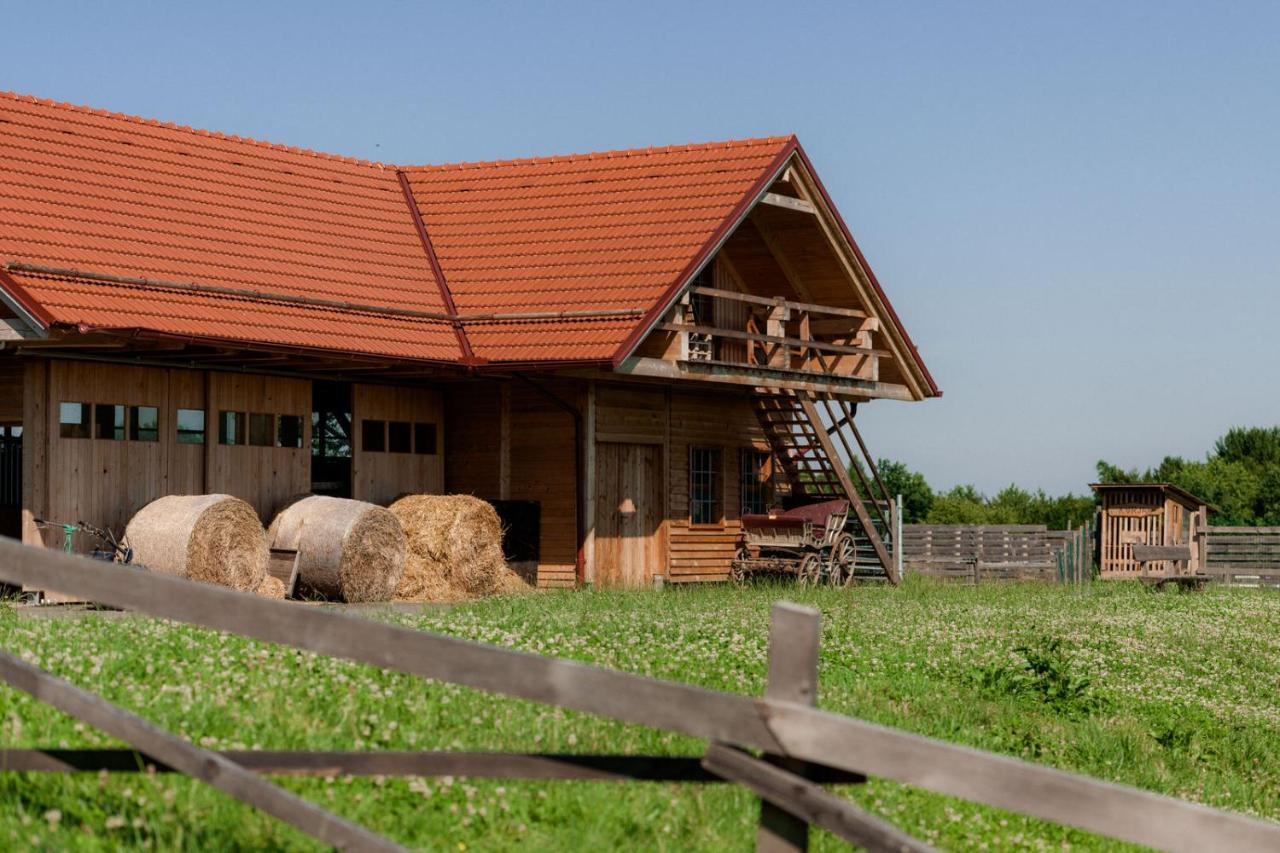Bed and Breakfast Tourist Farm Firbas Cerkvenjak Exteriér fotografie