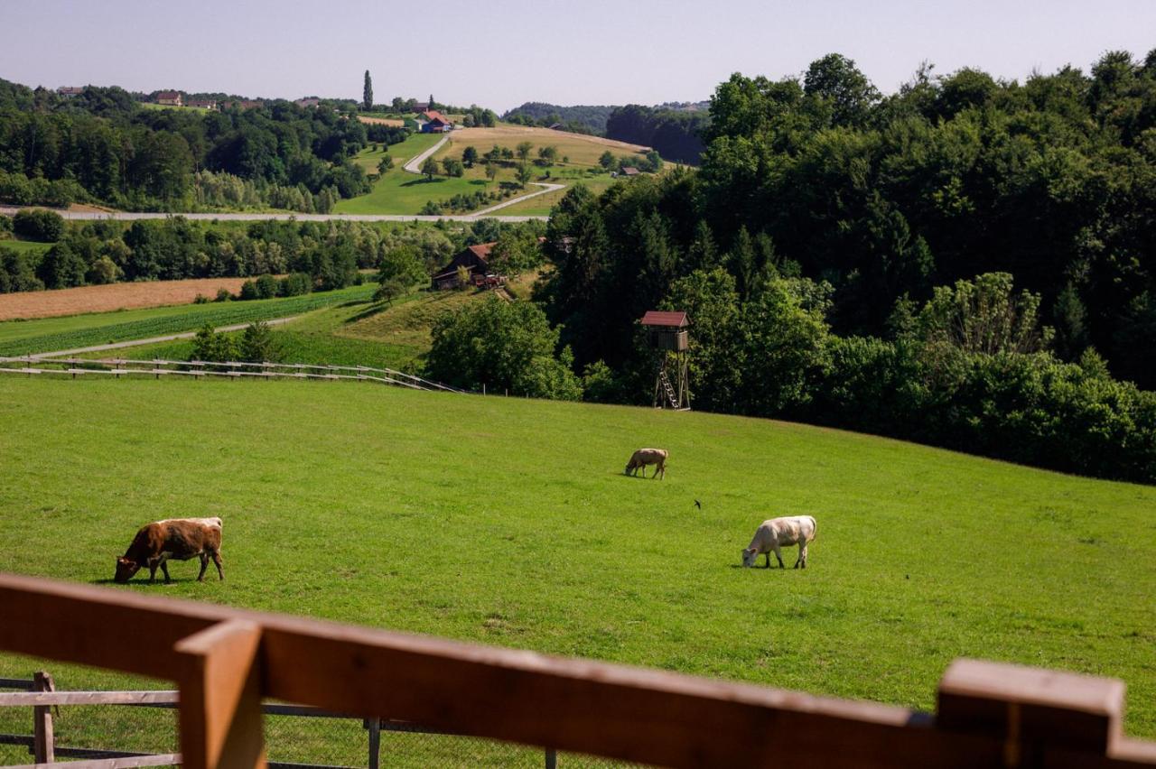 Bed and Breakfast Tourist Farm Firbas Cerkvenjak Exteriér fotografie