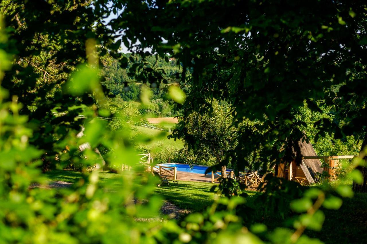 Bed and Breakfast Tourist Farm Firbas Cerkvenjak Exteriér fotografie