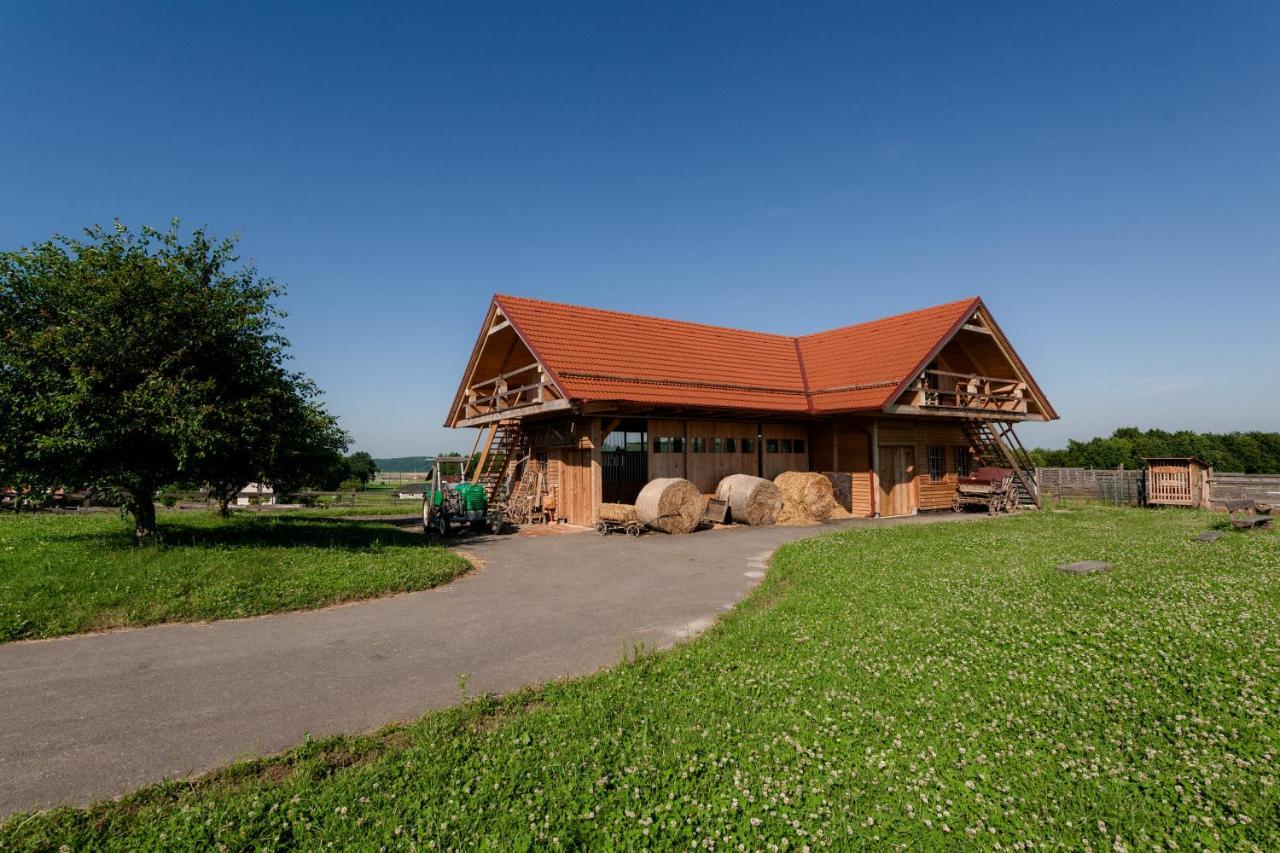 Bed and Breakfast Tourist Farm Firbas Cerkvenjak Exteriér fotografie