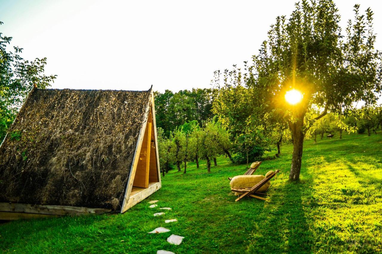 Bed and Breakfast Tourist Farm Firbas Cerkvenjak Exteriér fotografie