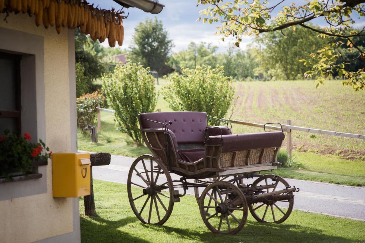 Bed and Breakfast Tourist Farm Firbas Cerkvenjak Exteriér fotografie