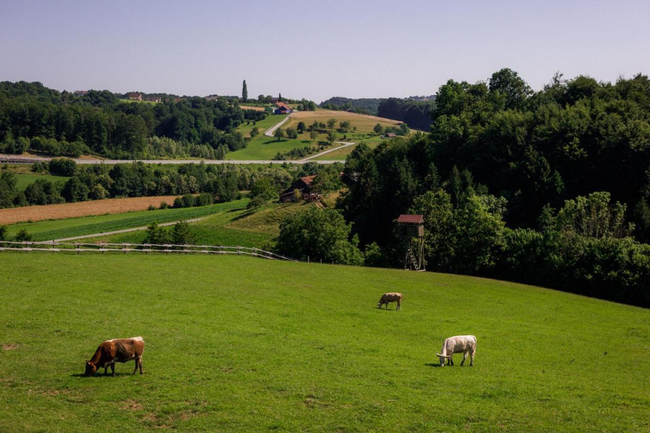 Bed and Breakfast Tourist Farm Firbas Cerkvenjak Exteriér fotografie